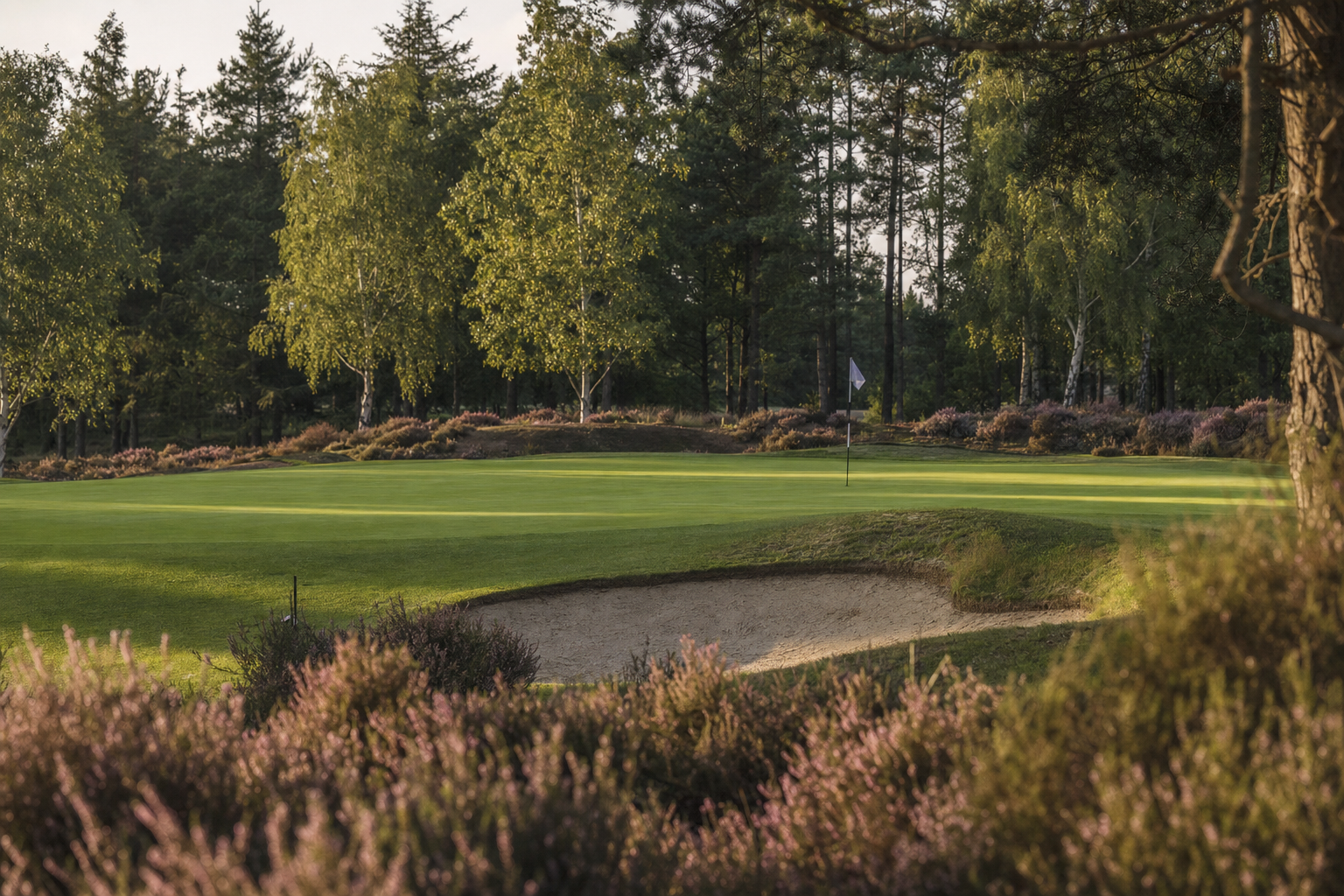 A greensite at Wentmoor Park guarded by heather and a single fairway bunker