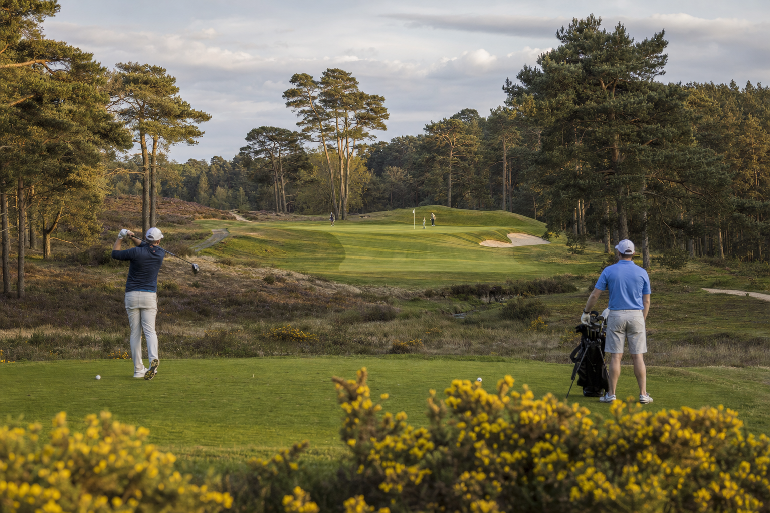 A heathland par four at Carnmoor Park bending between pine and heather toward a raised green